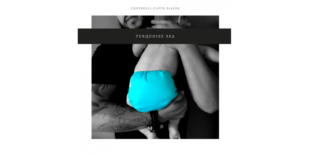 Couche à poche Bébé D Lux- Chevreuil- Turquoise- snap